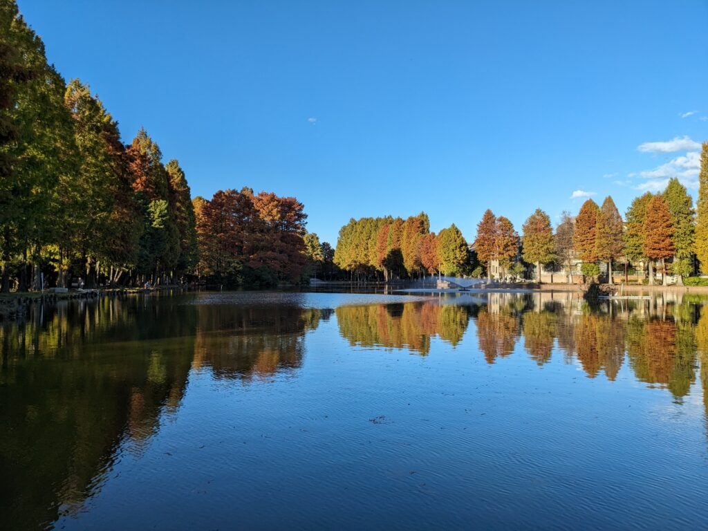 錦秋の別所沼公園その1