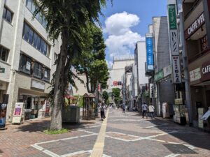 初夏のさくら草通り